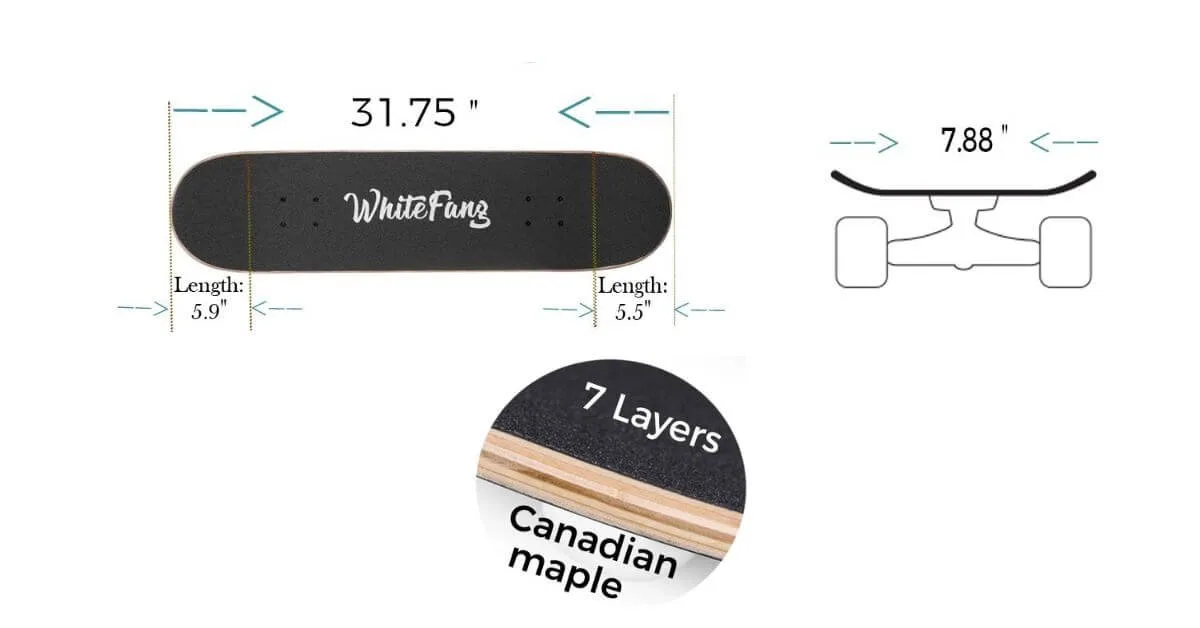 Are Whitefang Skateboards Good? The Ultimate Guide for Beginners! 2 Whitefang Skateboards Key Features & Build Quality